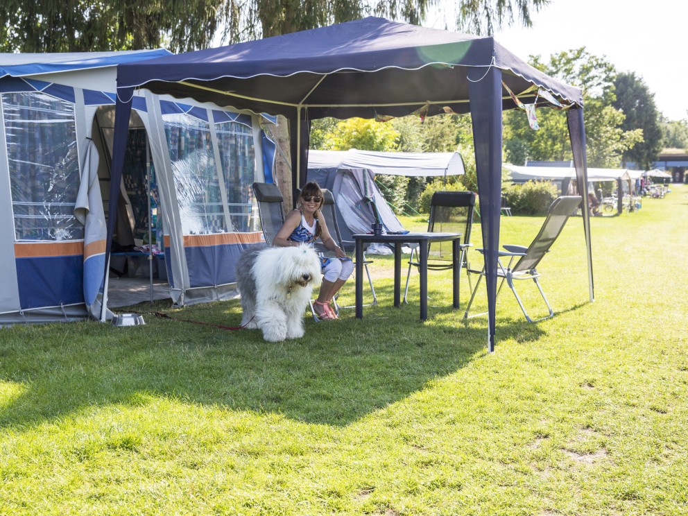 Camping-met-hond4.jpg